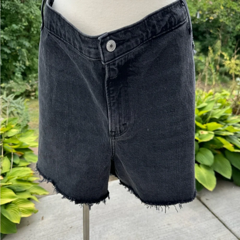 High Rise Dad Short - Picture 3 of 5